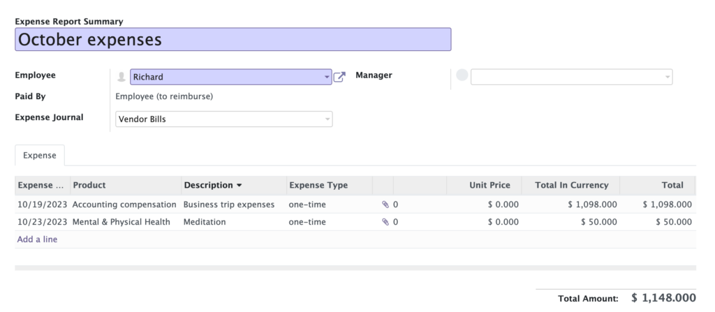 expenses report summary