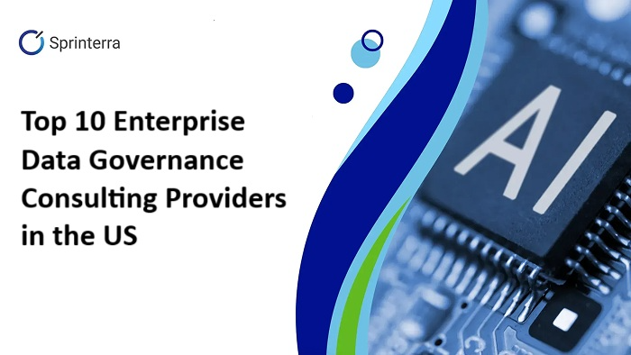 Data Governance Consultant