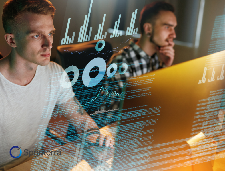 custom software engineering